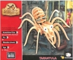 Vogelspin tarantula - Gepettos