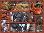 Legpuzzel - 275 - Farmyard Friends