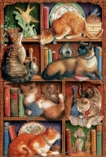 Legpuzzel - 2000 - Feline Bookcase