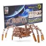 Space spider - Wood.Trick