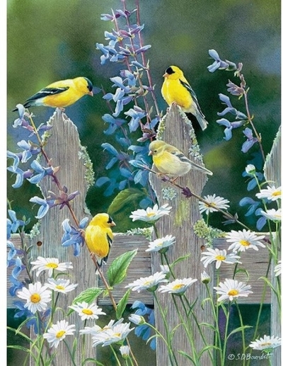 Legpuzzel - 500 - Vogels op een hek