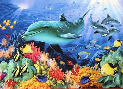 Legpuzzel - 1000 - Dolfijnen avontuur