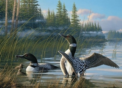 Legpuzzel - 1000 - Common Loons