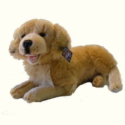 Golden Retriever - 42cm