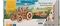 The Tractor Wins - UGears