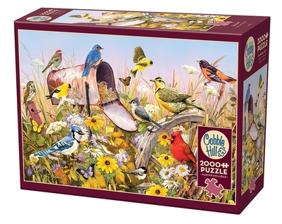 Legpuzzel - 2000 - Field Song